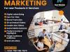 Advertising and Marketing